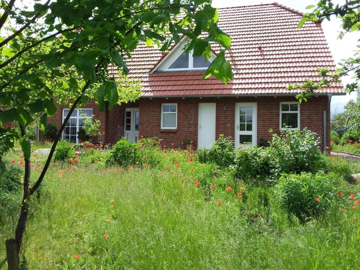 Haus Rosengarten- Ruhige Ferienwohnungen Im Gruenen Sehlen Екстер'єр фото