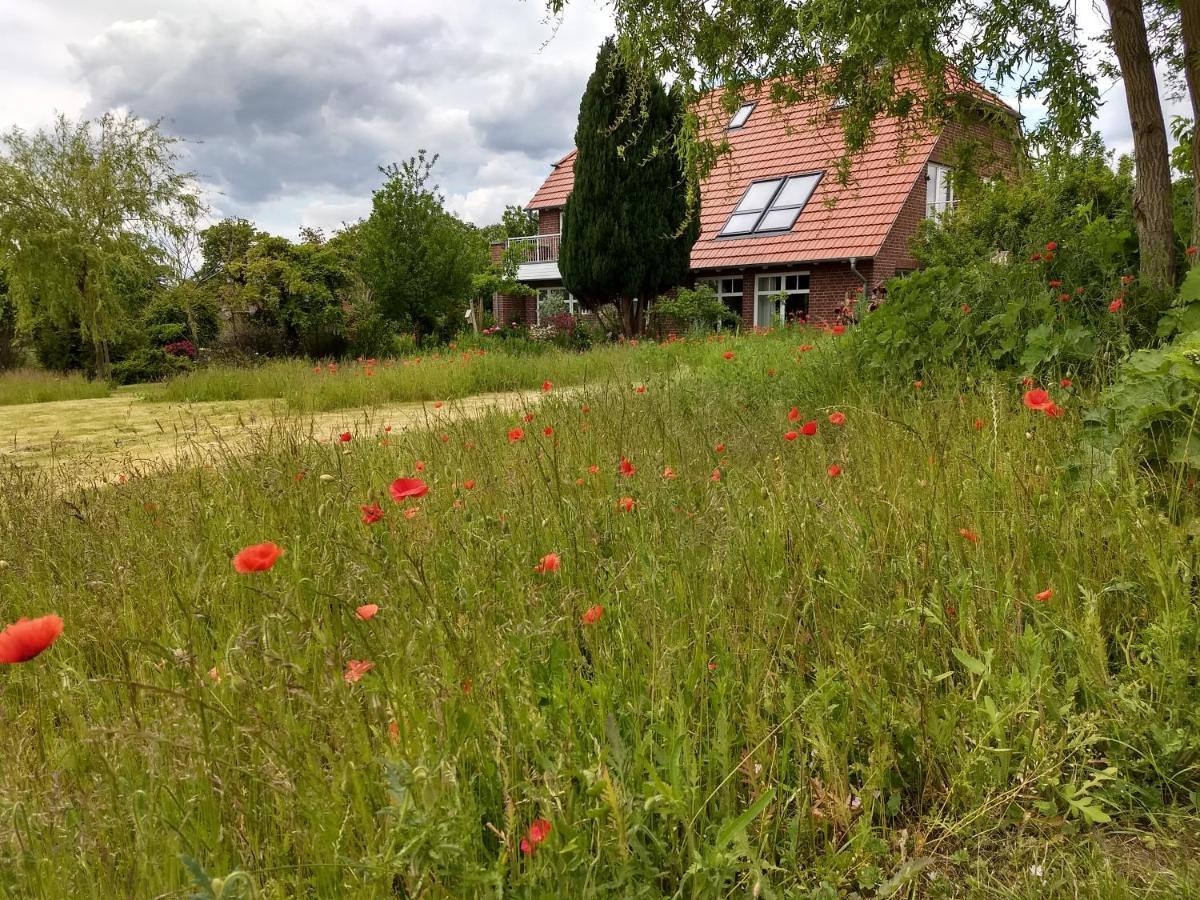 Haus Rosengarten- Ruhige Ferienwohnungen Im Gruenen Sehlen Екстер'єр фото